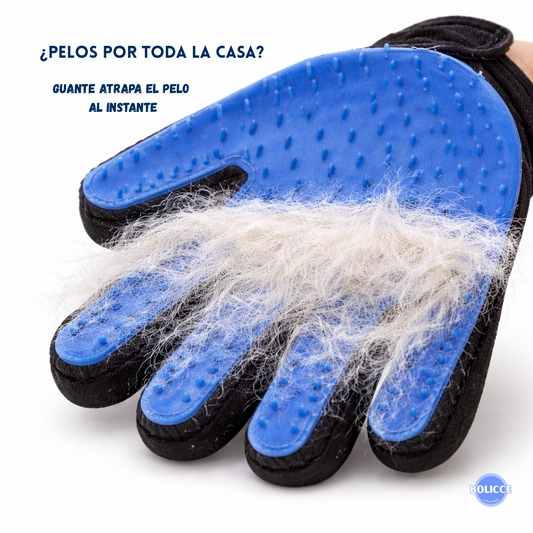 Pack Guante Para Mascota +Cepillo