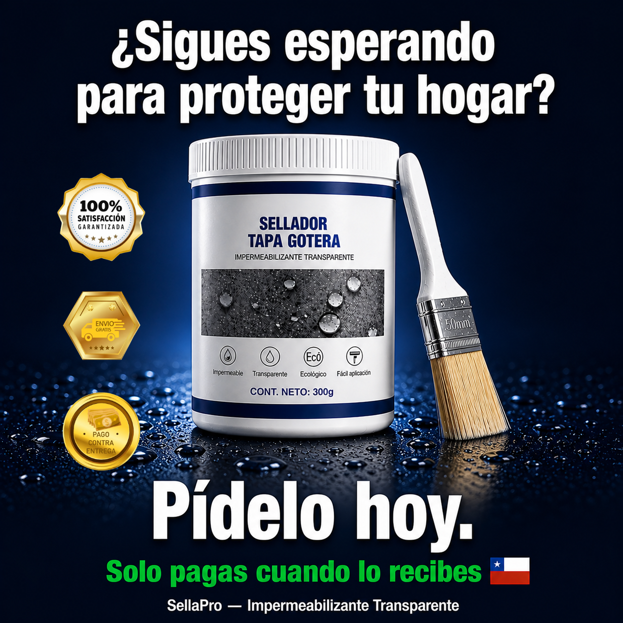 SellaPro — Repara filtraciones antes de las lluvias