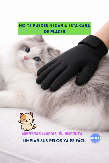 Pack Guante Para Mascota +Cepillo